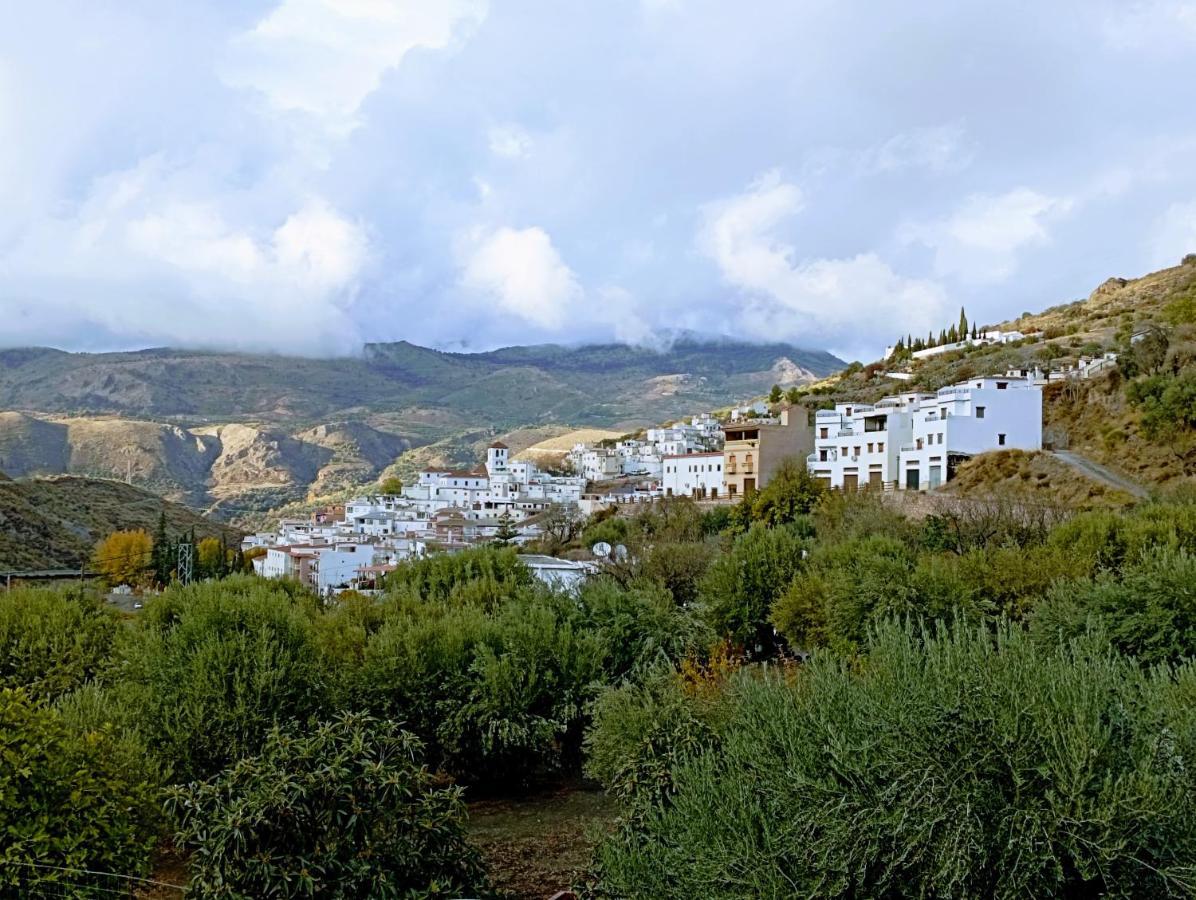 דירות Torviscón El Almendro De Maruja מראה חיצוני תמונה